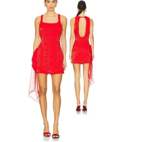For Love And Lemons Dresses & Skirts - NWOT FOR LOVE AND LEMONS FROSTED ORGANZA MINI DRESS IN RED #2 SIZE S